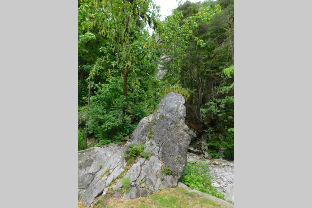 Rezidenca Mitja Villa Kranjska Gora Luaran gambar